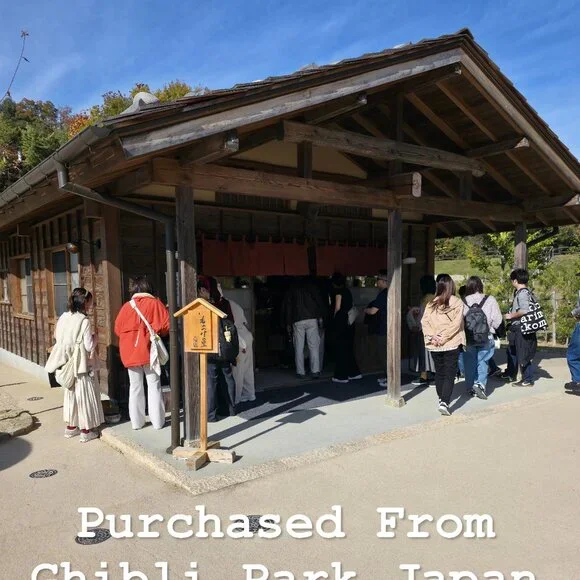 Princess Mononoke Village Ghibli Park San Mask Headdress & Ashitaka Hooded Towel - Picture 13 of 13